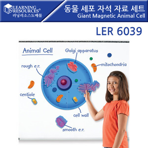 과학교구, [LER6039]러닝리소스동물세포 자석자료 세트-칭찬나라큰나라