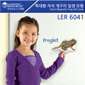 과학교구, [LER6041]러닝리소스특대형 자석 개구리 일생 모형-칭찬나라큰나라