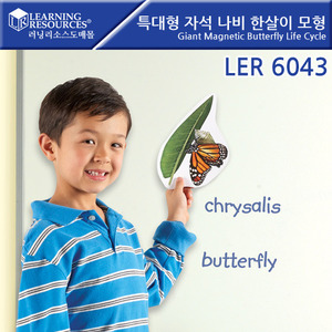 과학교구, [LER6043]러닝리소스특대형 자석 나비 한살이 모형-칭찬나라큰나라